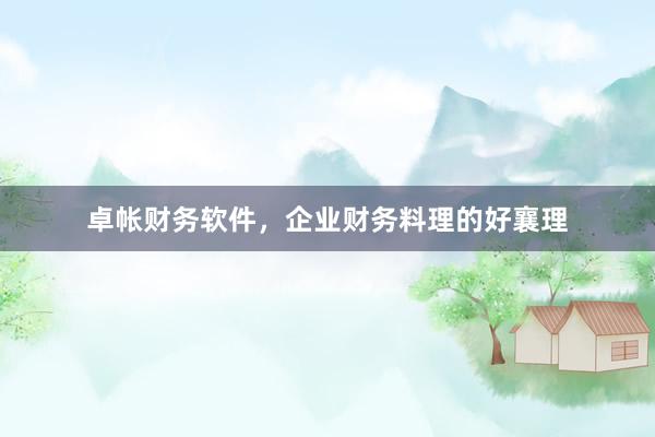 卓帐财务软件，企业财务料理的好襄理